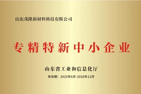 專精特新中小企業(yè)